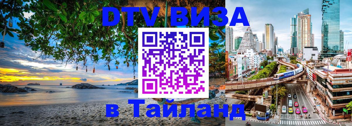 Оформление DTV визы под ключ: стоимость и тарифы, только загранпаспорт - Люберцы 